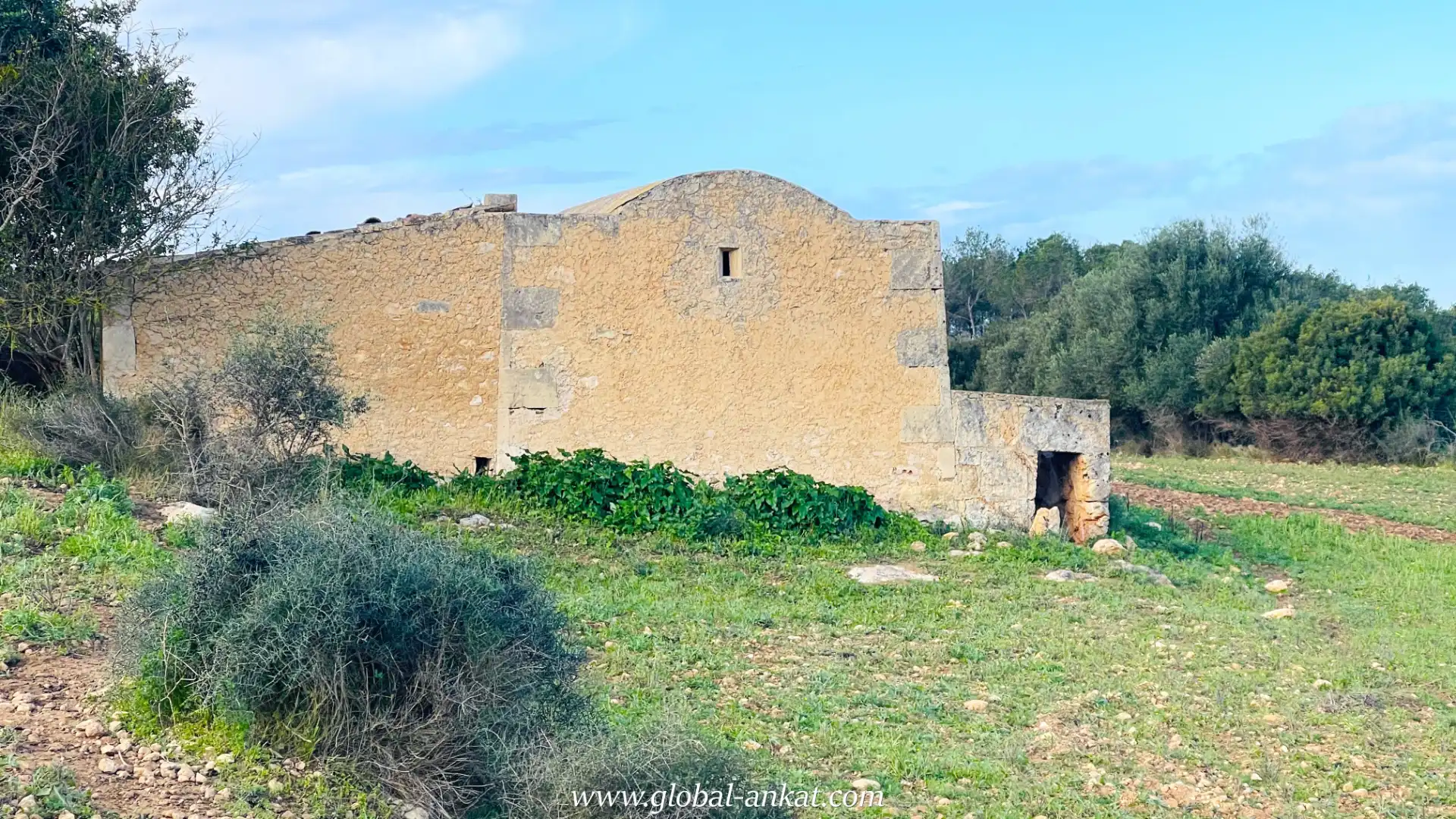 Rural land for sale in Felanitx Poble, imagen 5