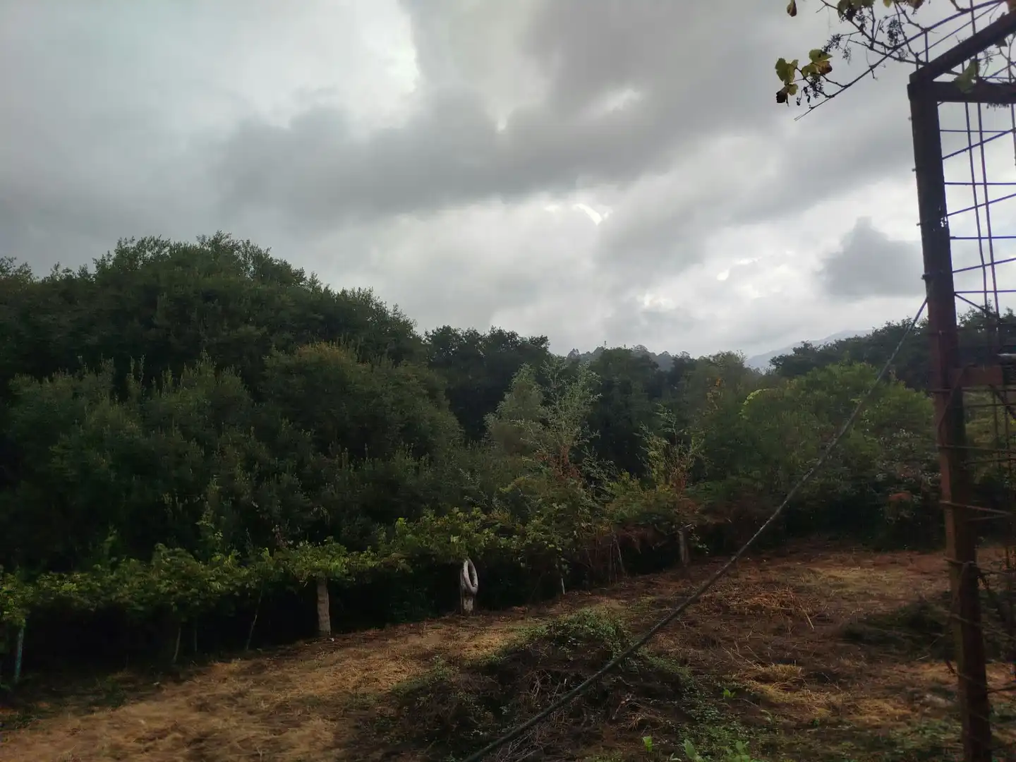 House with garden for sale in Mos, imagen 12