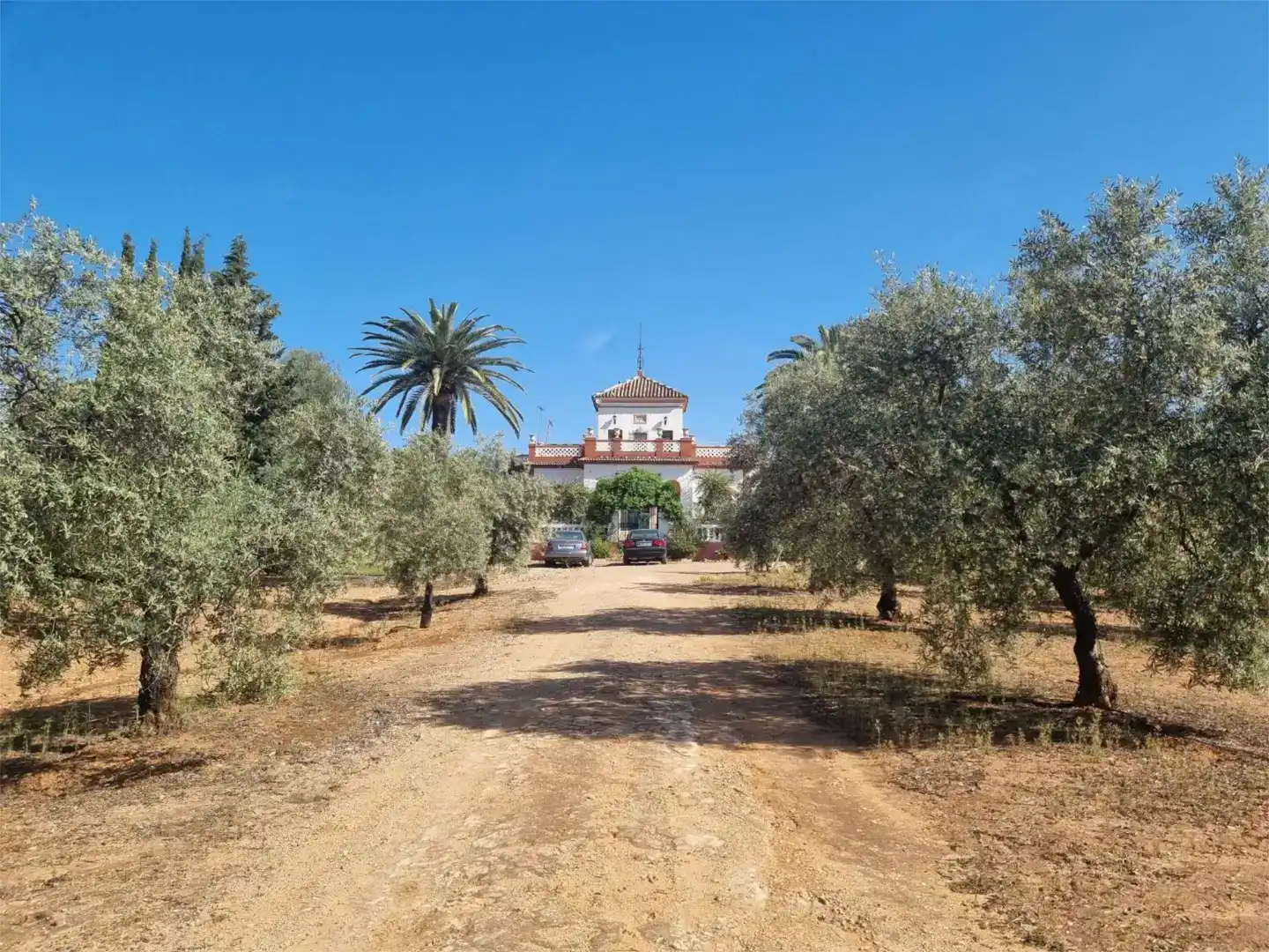 Vista exterior de Finca rústica en venda en Aguilar de la Frontera, Córdoba