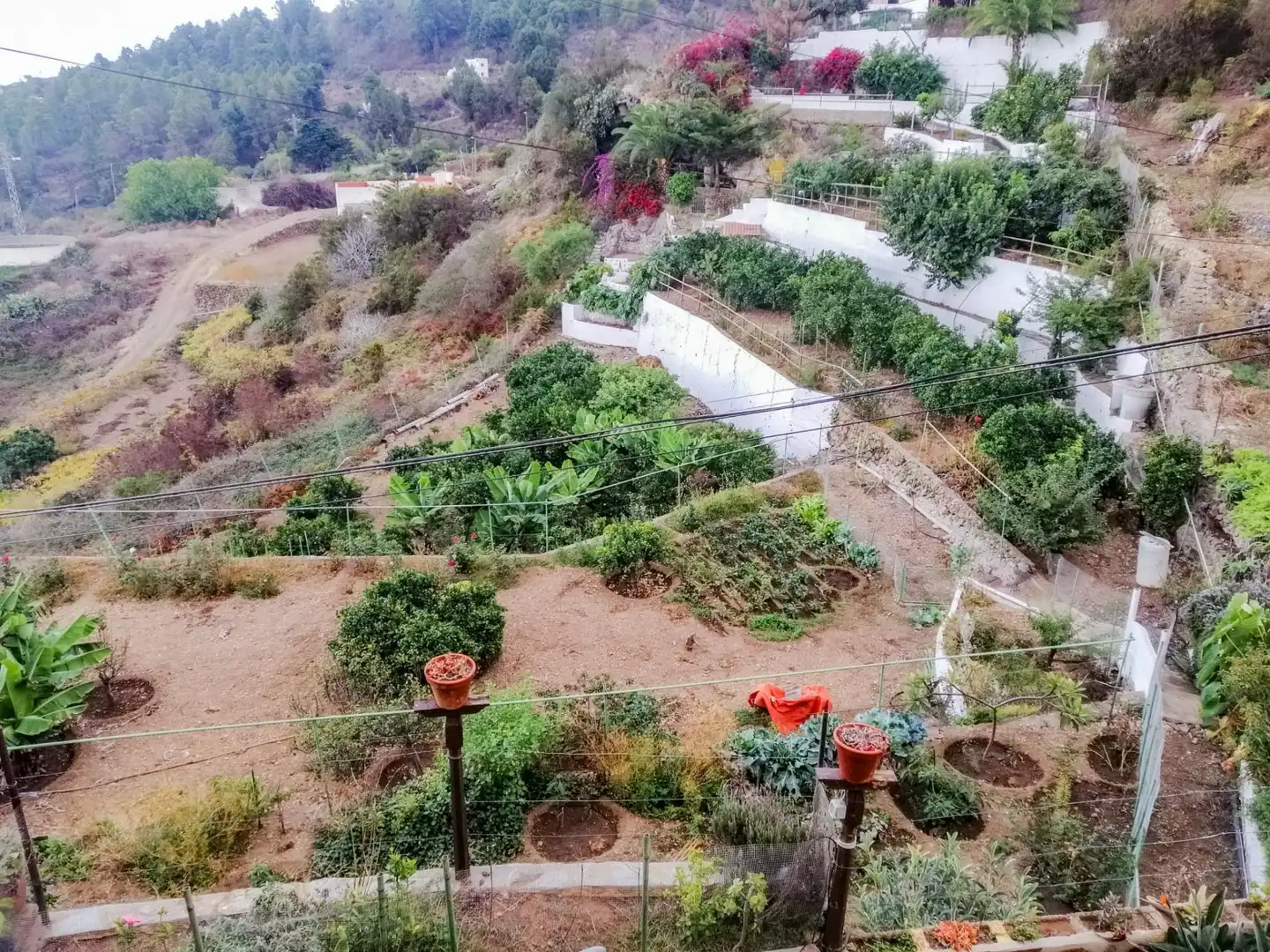 Finca rústica en venda en Icod de los Vinos amb Terrassa
