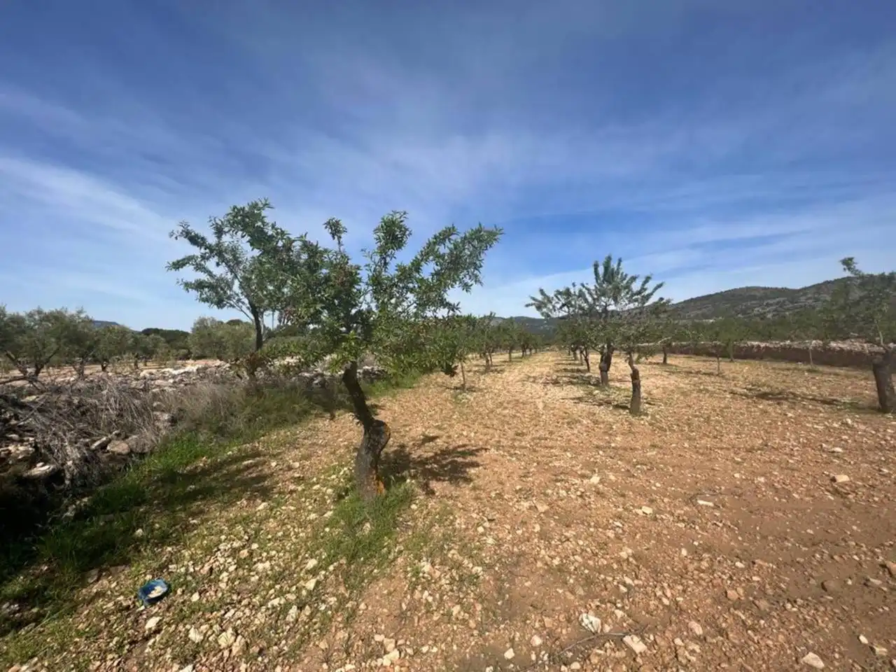 Chalet con jardín en venta en Calle Poligono, imagen 108