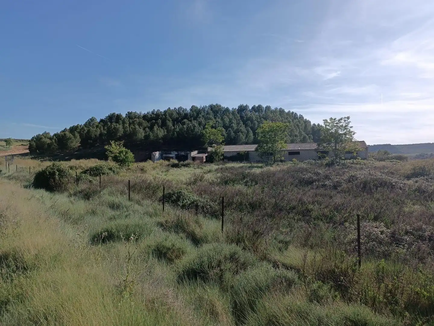 Terreny rústic en venda a Murillo de Río Leza, imagen 5