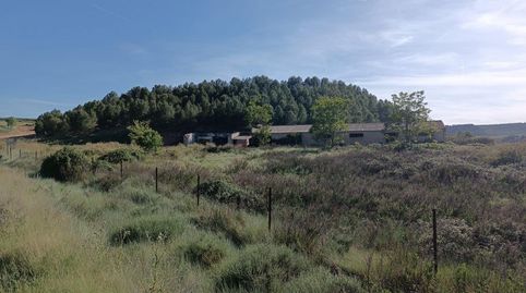Finca con nave, imagen 5