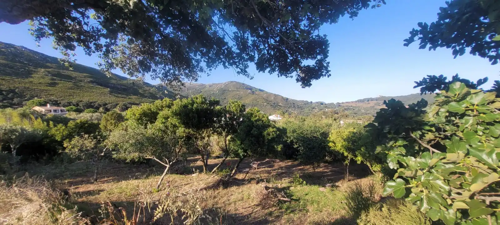 Casa o xalet en venda en Tarifa amb Jardí privat, Moblat i Forn