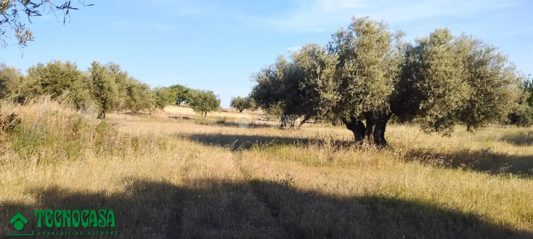 Terreni e lotti in vendita a Méntrida, imagen 18