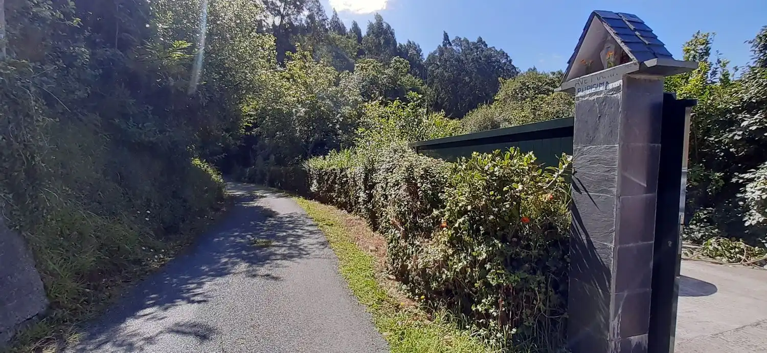 Gewerbefläche zum Verkauf in Peroja, Piñeiro, imagen 22
