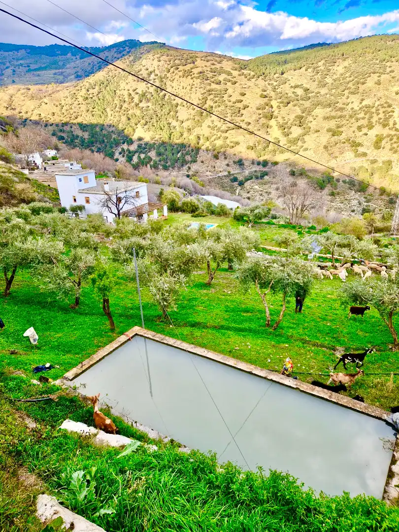 Jardín de Casa o chalet en venta en Bérchules con Calefacción, Jardín privado y Terraza