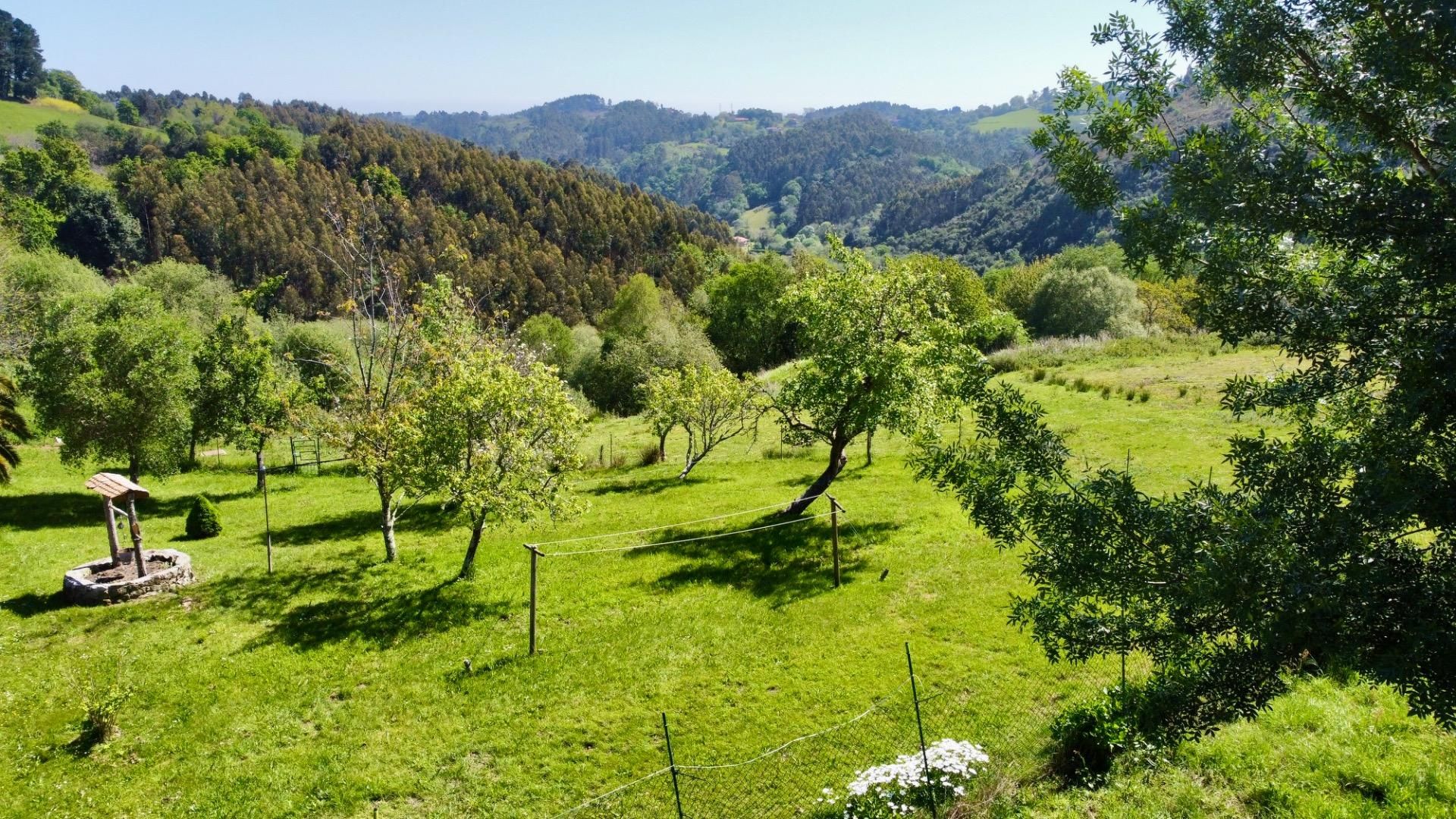 Garden of House or chalet for sale in Ribadesella  with Heating, Private garden and Terrace