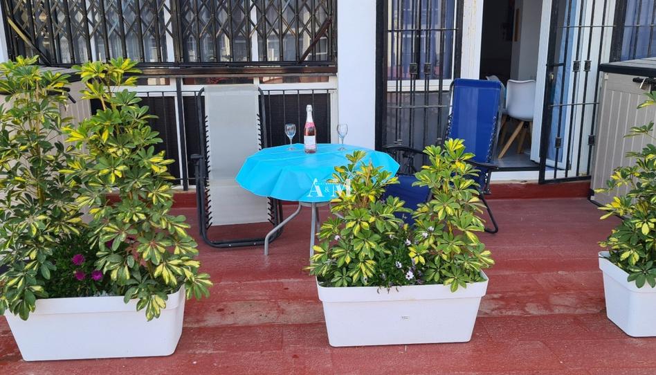 Foto 1 de Planta baixa de lloguer a La Veleta, Alicante