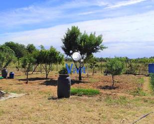 Residencial en venda en Utrera