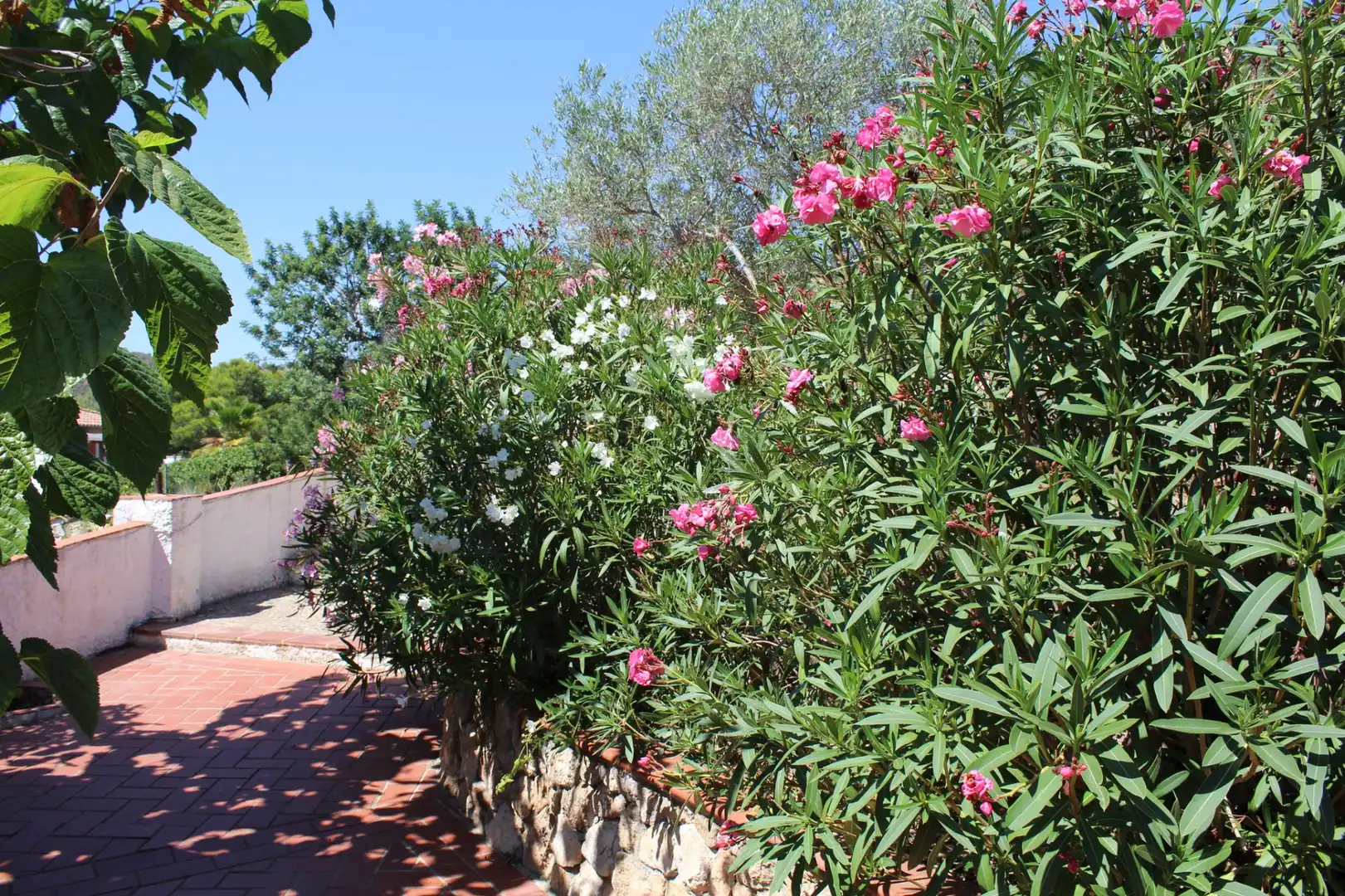 Jardín de Casa o chalet en venta en Vespella de Gaià con Jardín privado, Piscina y Amueblado