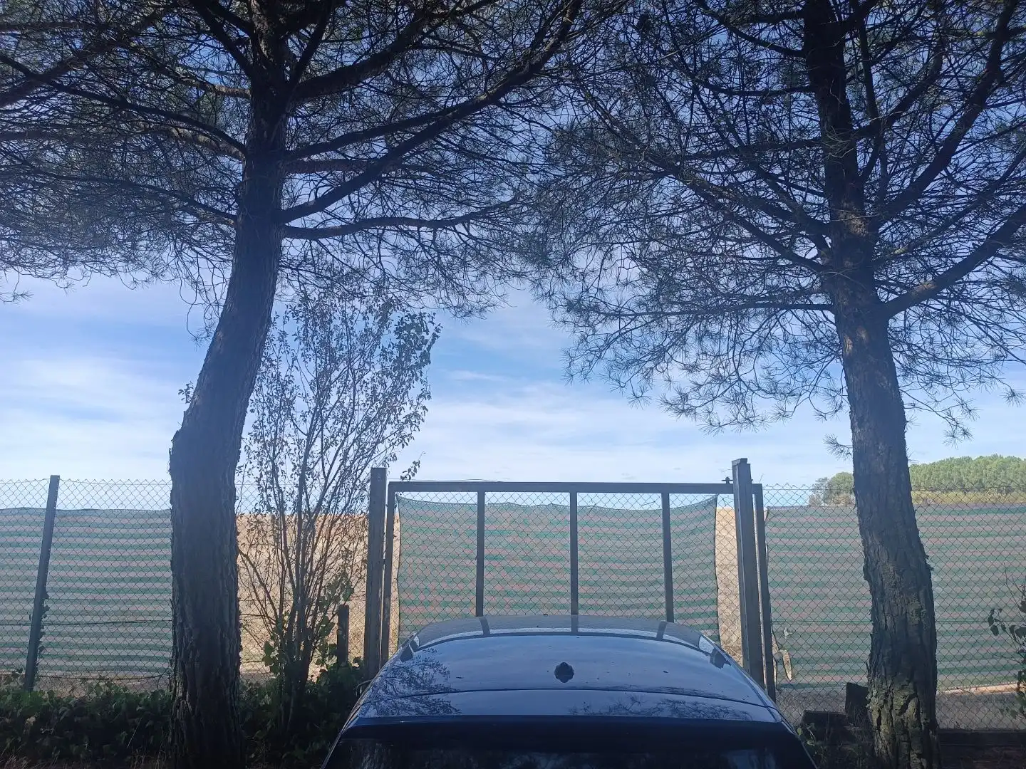 Aparcament de Casa o xalet en venda en Villarrabé, Palencia