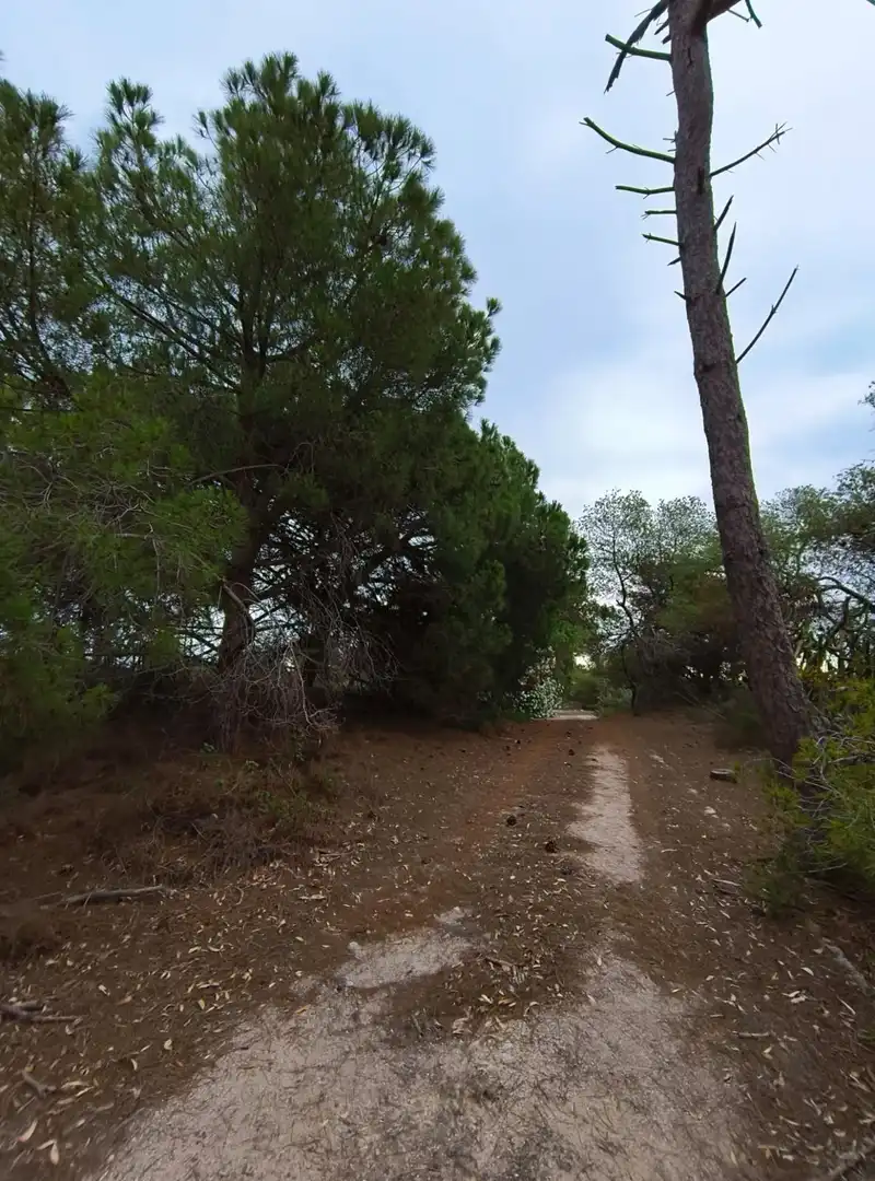 Finca rústica en venta en Cullera con Calefacción, Jardín privado y Terraza