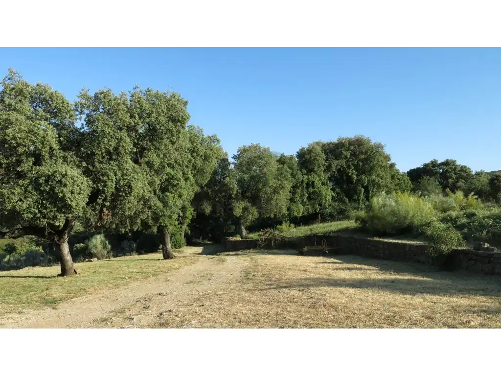 Casa o chalet en venta en Montejaque