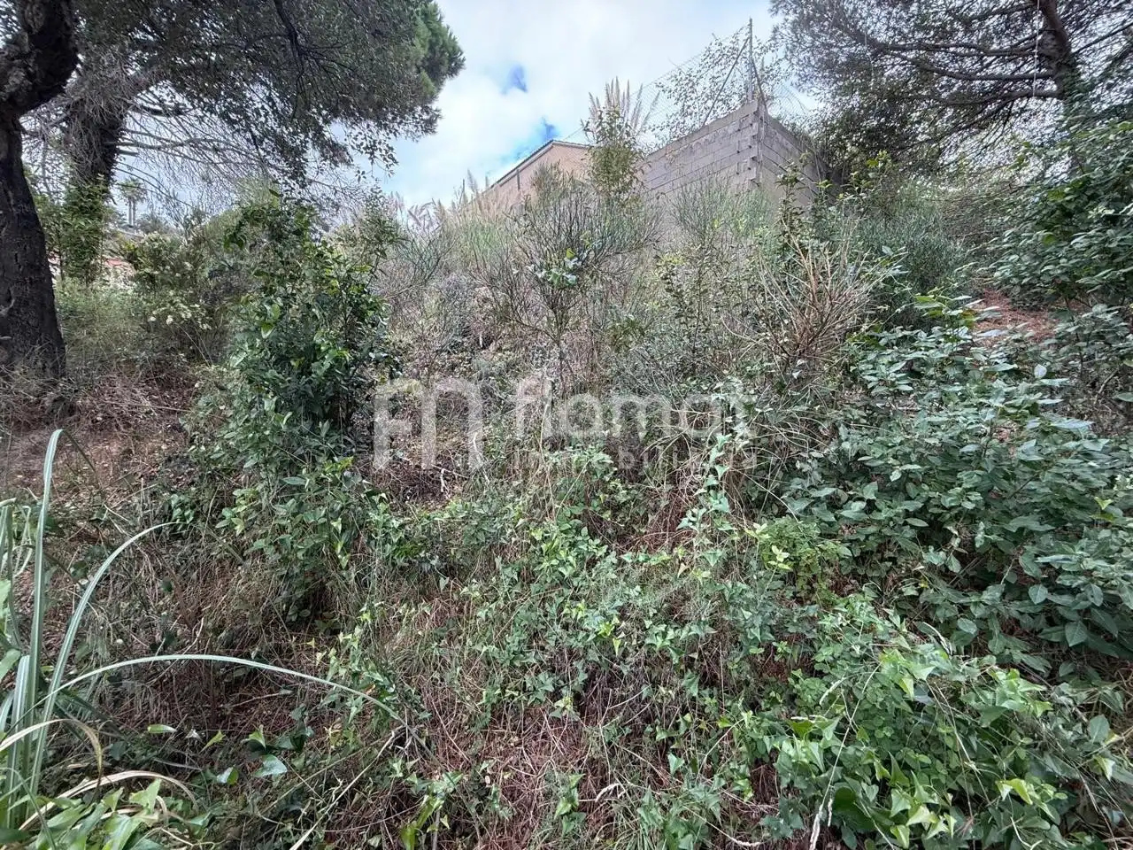 Terrenos y solares en venta en Carrer Pluto, imagen 3