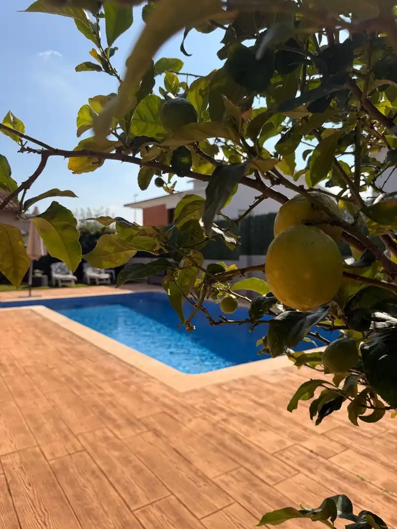 Piscina de Casa o chalet en venta en Can Font - Ca n'Avellaneda