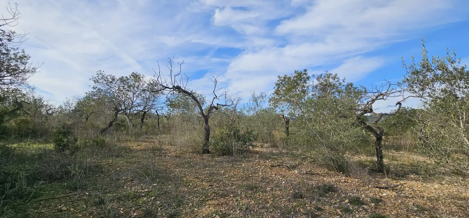 Finca rústica en venda en El Perelló