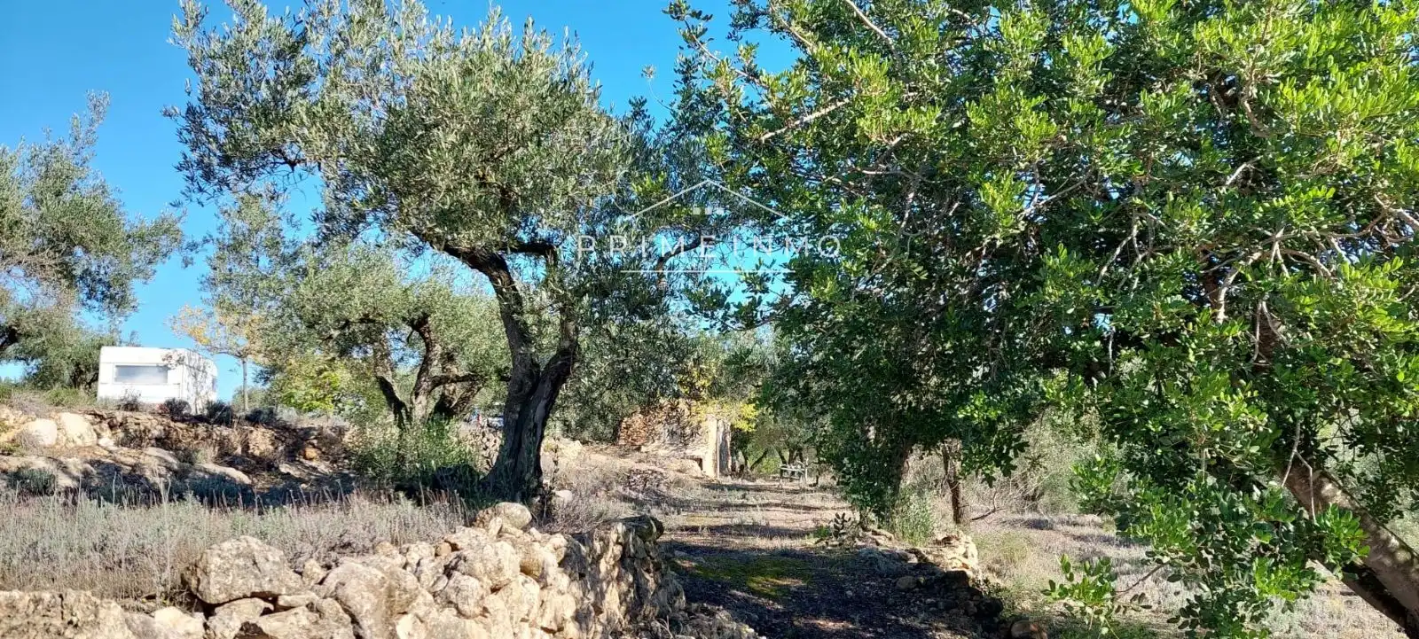 Terrain rustique à vendre à Rasquera, imagen 17