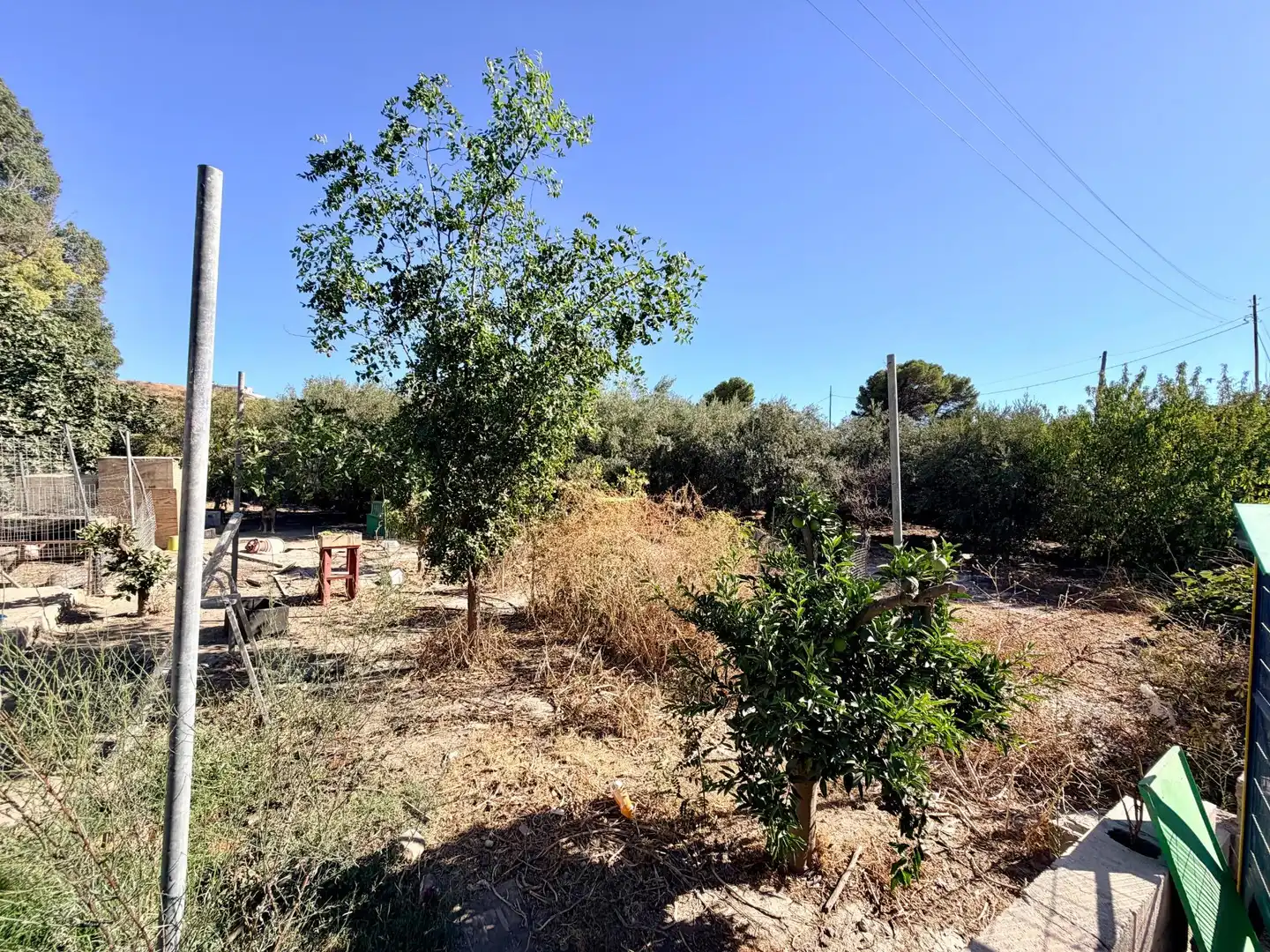 Country house with garden for sale in Pechina, imagen 37