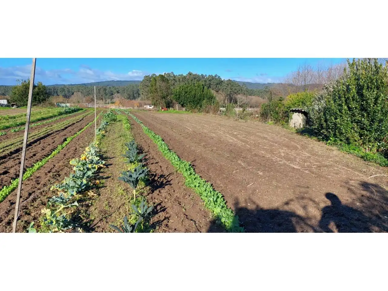 Terreno rustico in vendita a Ribadumia, imagen 17