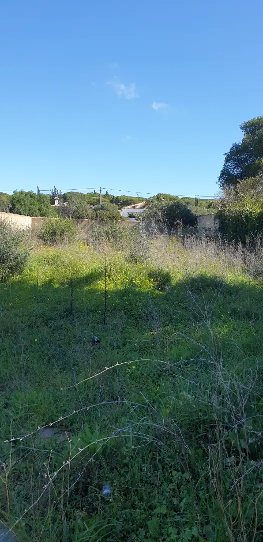 Terreny rústic en venda a Las Lagunas - Campano, imagen 5