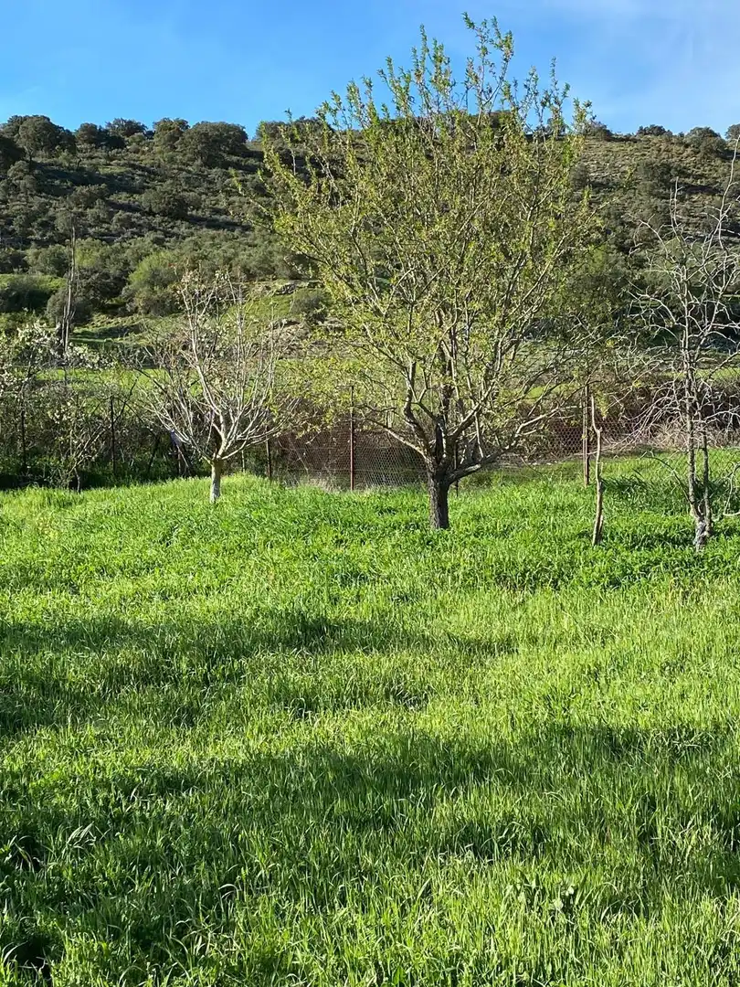 Terreno en venta en Escopete