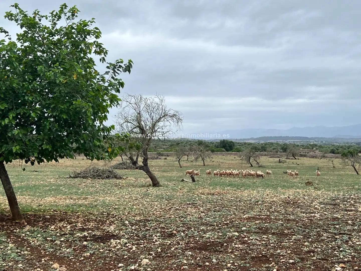 Residencial en venta en Ariany