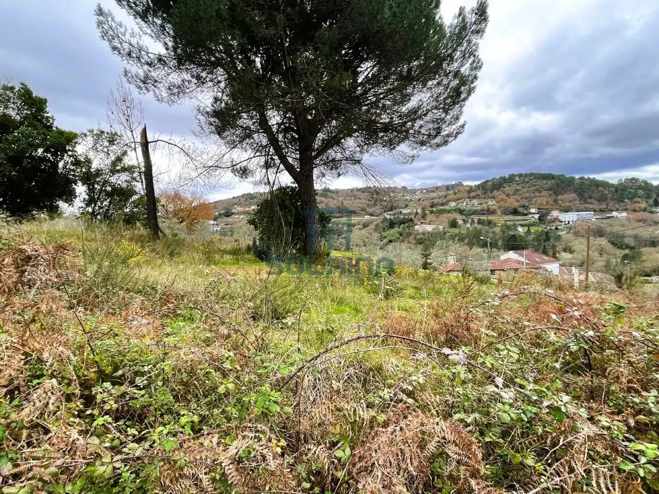 Terreni e lotti in vendita a O Pereiro de Aguiar, imagen 8