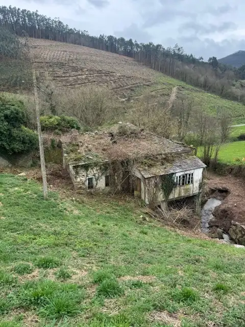 Vista exterior de Finca rústica en venta en Castropol
