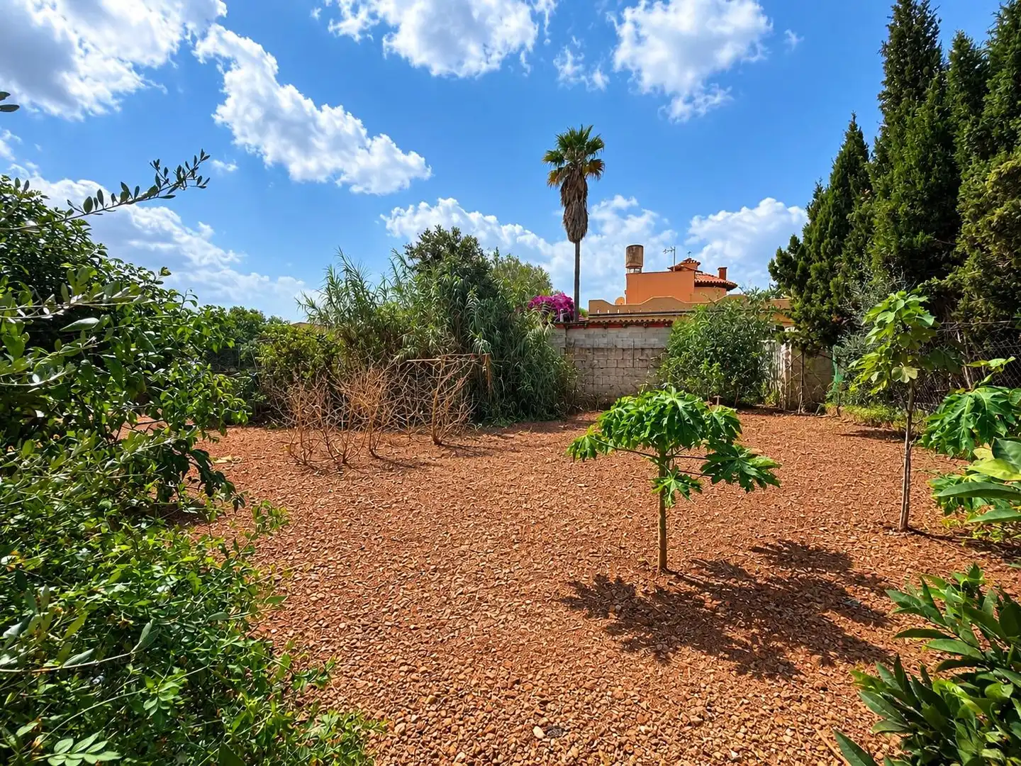 Jardí de Casa o xalet en venda en  Palma de Mallorca amb Jardí privat i Moblat