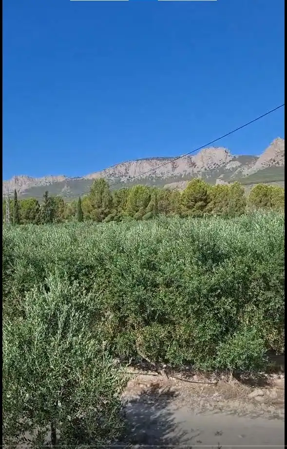 Terreni e lotti in vendita a Alcalá la Real, imagen 6