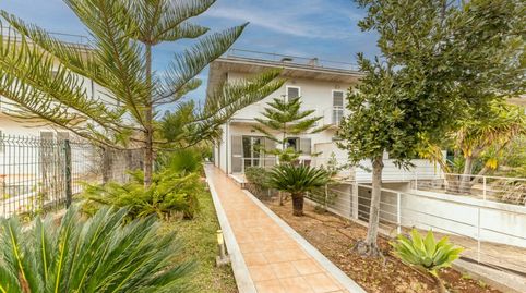 Photo 4 of Detached homes for sale in Sa Pobla, Illes Balears