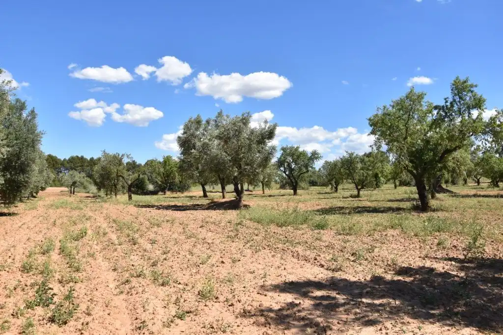 Casa rústica en venda a Torre del Compte, imagen 11