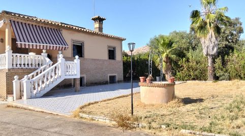 E  CHALET EXCLUSIVO EN LA CARLOTA  478 m2  2.300 m2 DE PARCELA  PISCINA PRIVADA, imagen 2