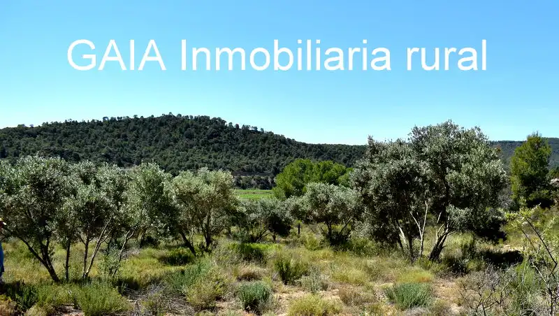 Finca rústica en venda en Batea