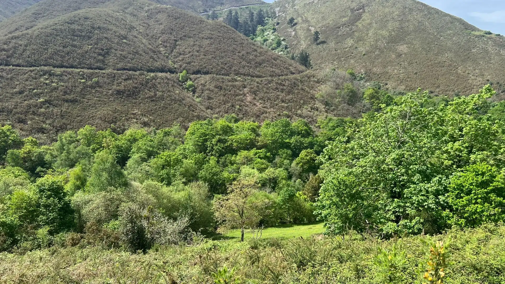 Vista exterior de Casa o xalet en venda en Cangas de Onís amb Jardí privat