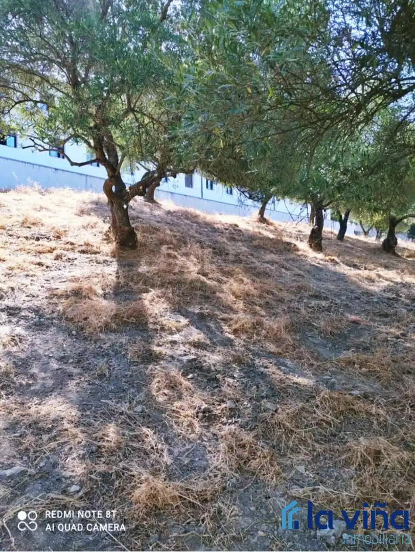 Residential for sale in Jimera de Líbar