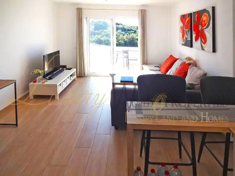 Living room of Attic for sale in Adeje  with Air Conditioner, Terrace and Furnished