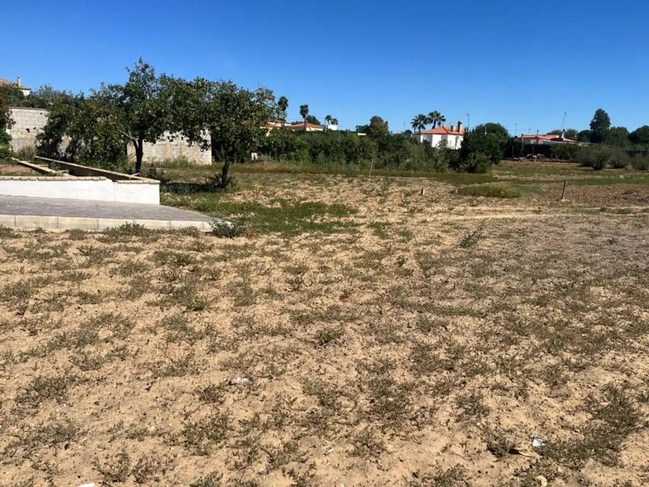 Finca rústica en venda a Morón de la Frontera