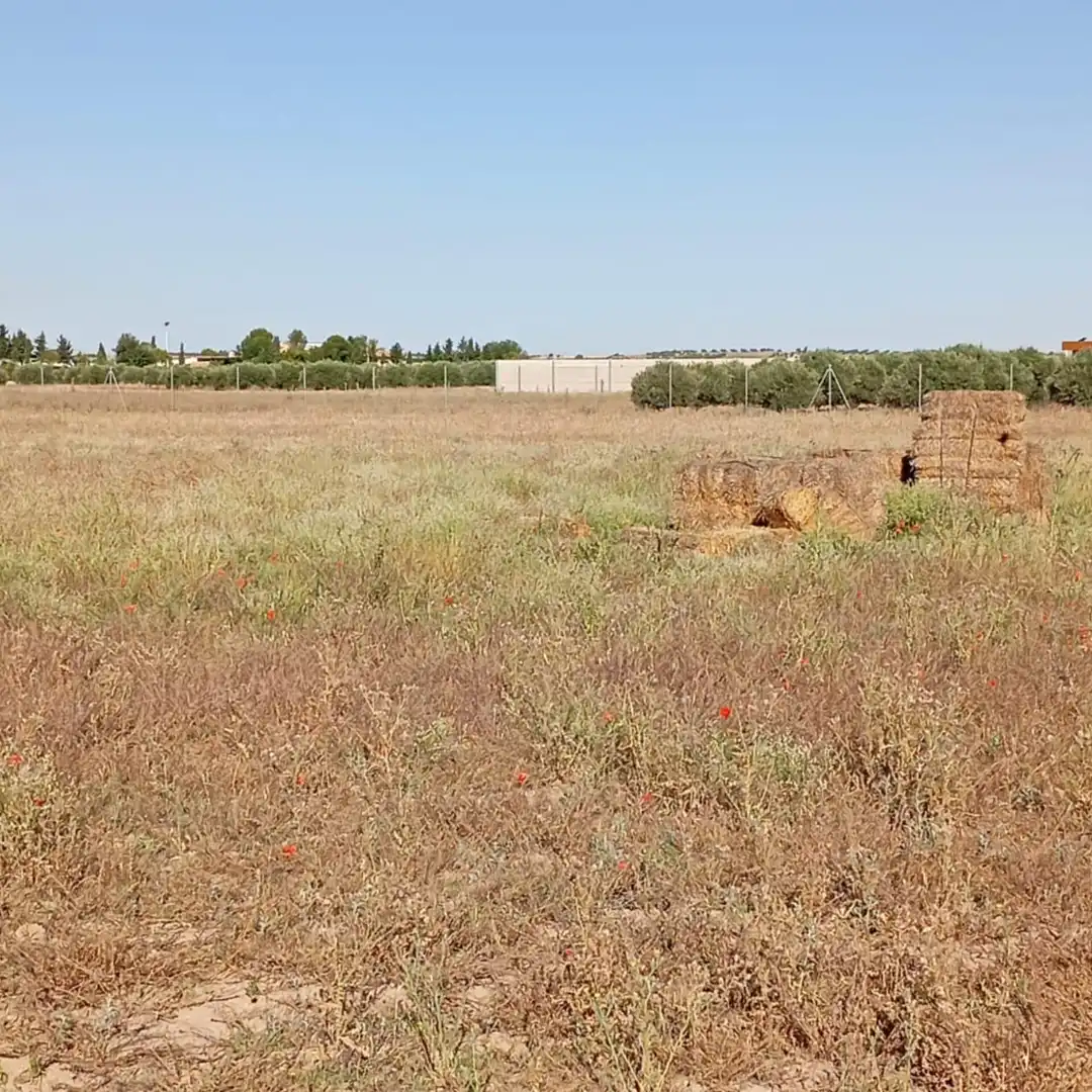 Terreny rústic en venda a Camino del Cuadrado 50, imagen 19