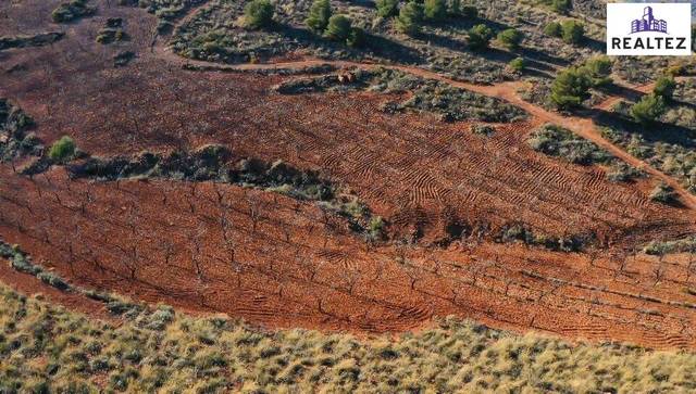 Terreno en Venta en Alcolea
