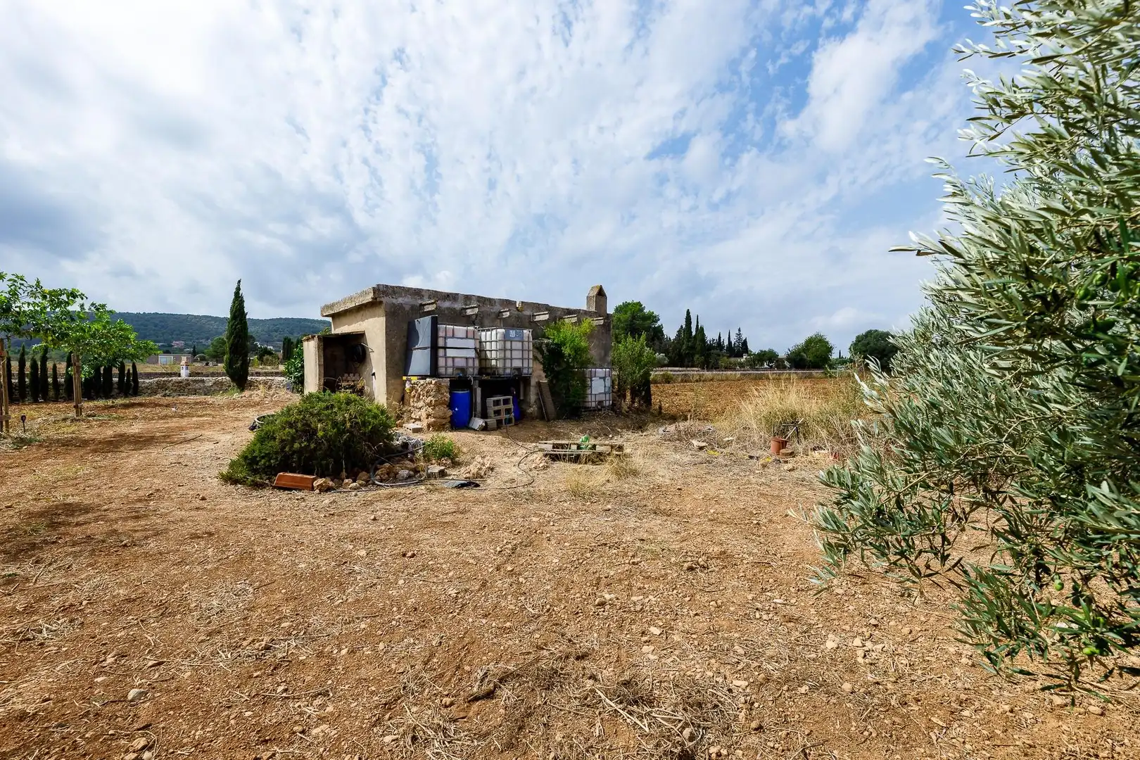 Terreny rústic en venda a Santa Eugènia, imagen 5