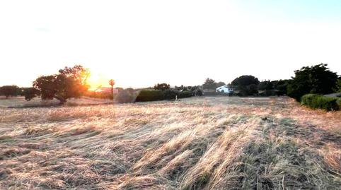 Foto 4 de Residencial en venta en Urb. Dehesilla de Camalón, Sector C, Dehesilla de Calamón - Campomanes, Badajoz