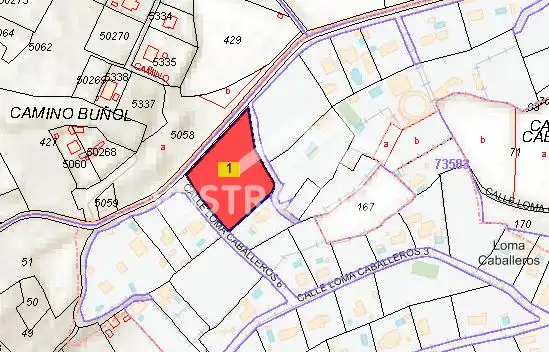 Terreno rustico in vendita a LOMA CABALLEROS, imagen 8