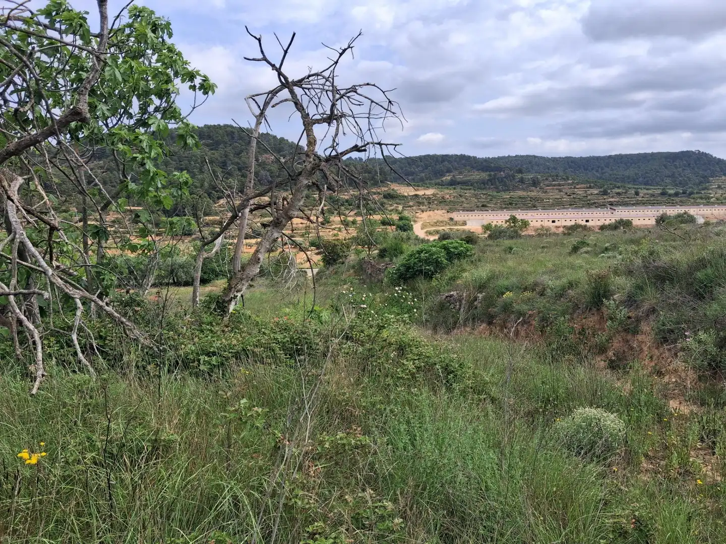Rural land for sale in Gandesa, imagen 37