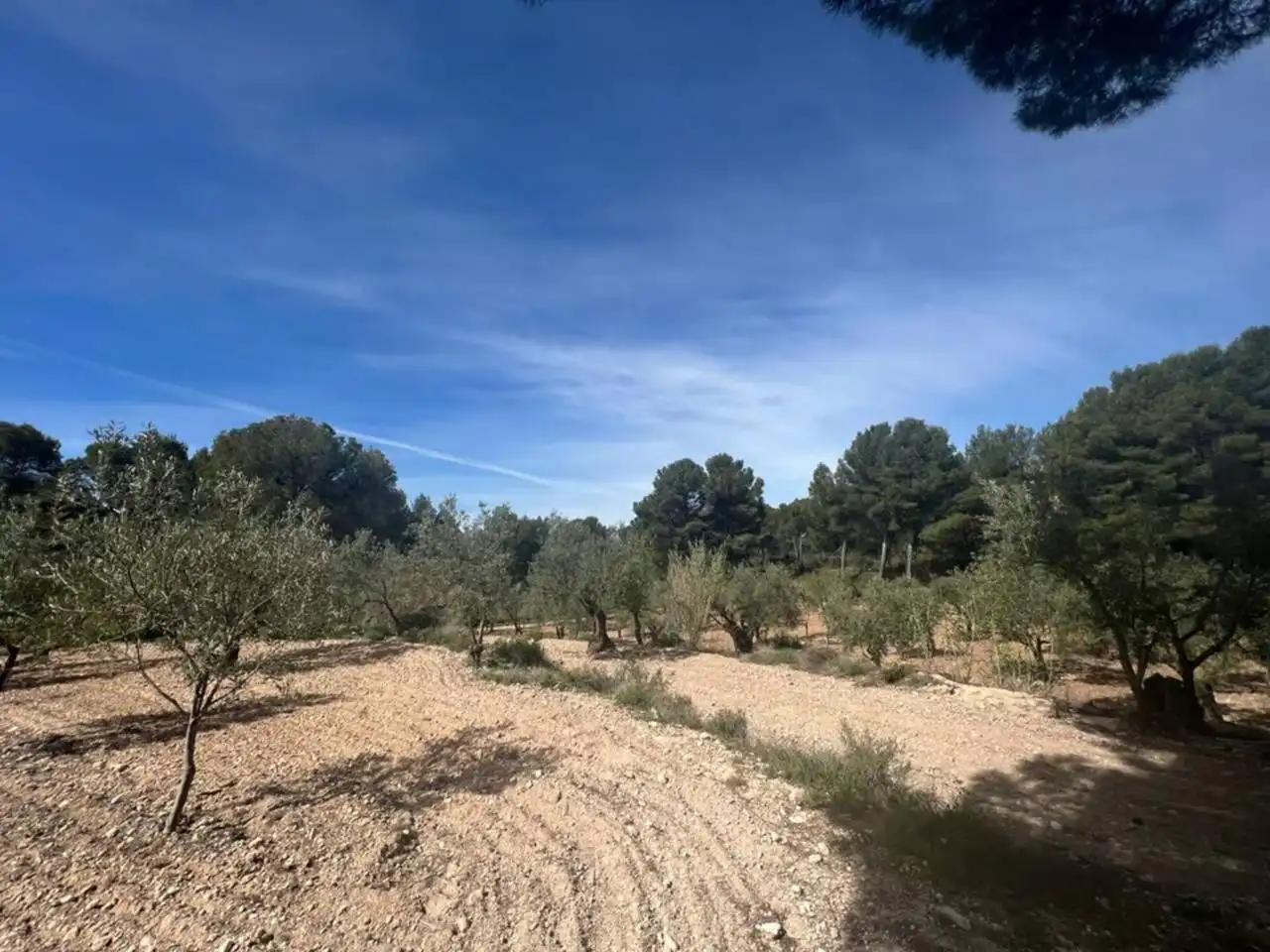 Chalet con jardín en venta en Calle Poligono, imagen 129
