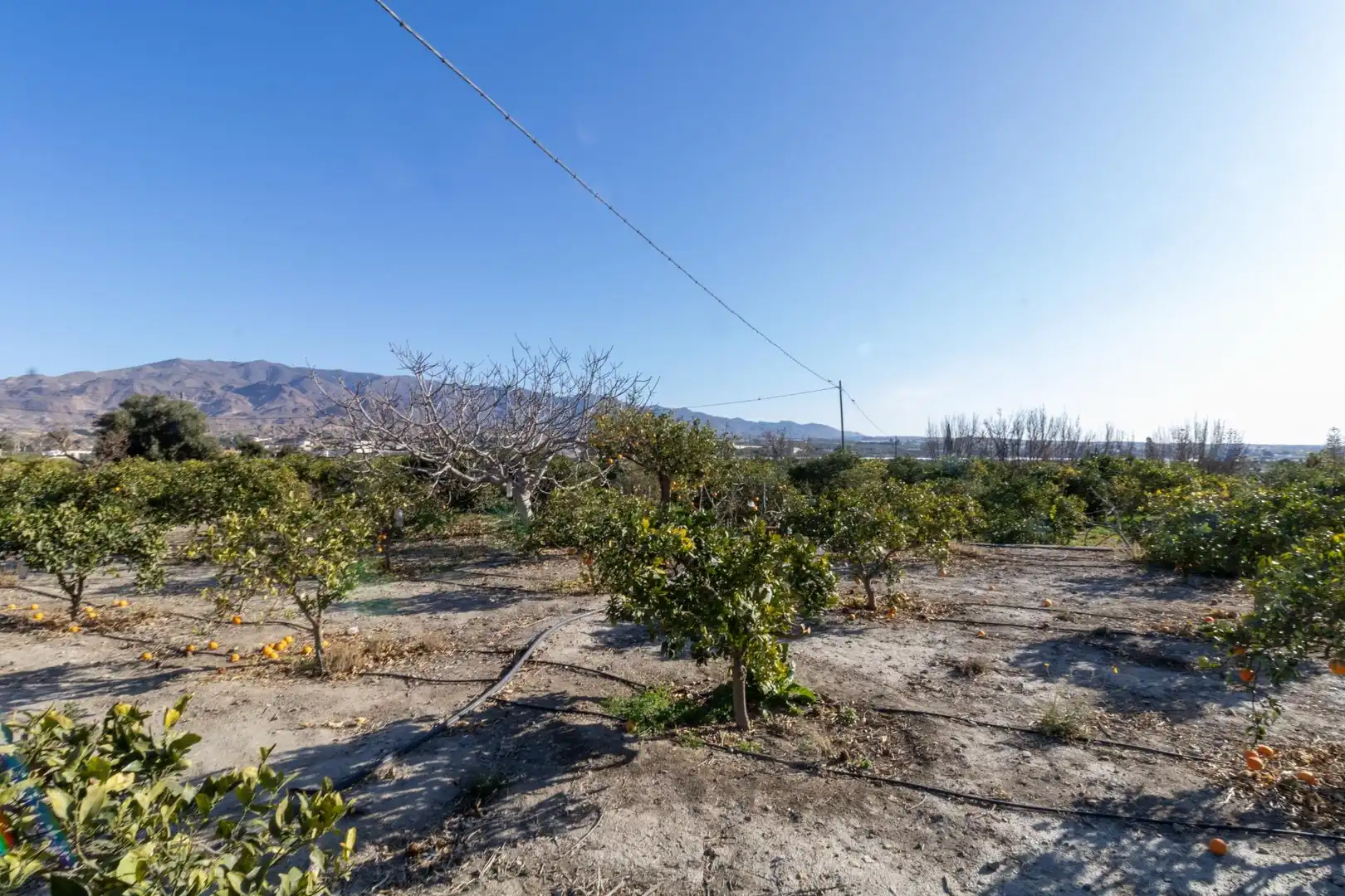 Finca rústica en venda en Benahadux amb Aire condicionat, Jardí privat i Terrassa