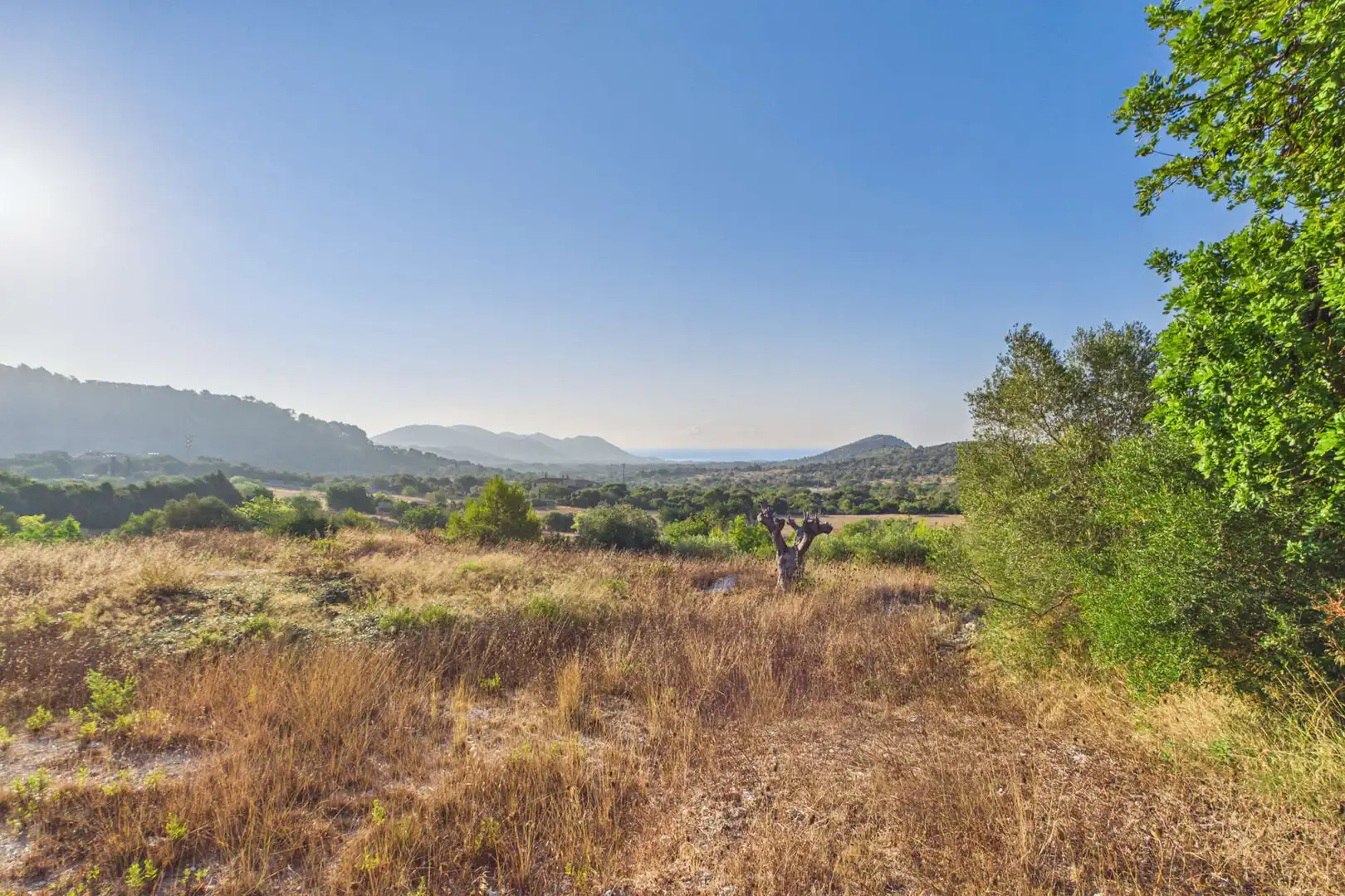 Country homes for sale in Son Servera  with Terrace
