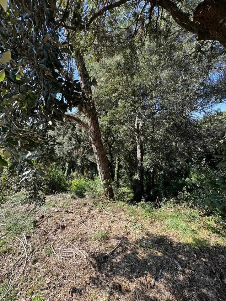Grundstücke und Bauplätze zum Verkauf in De Lluis Millet, imagen 26