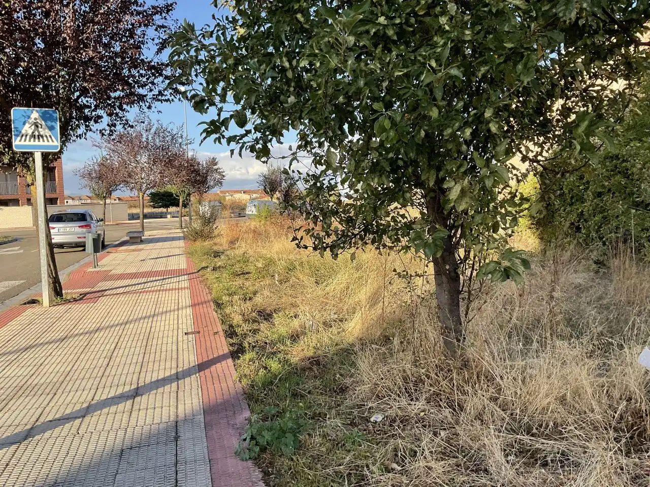 Terreno residencial en venta en Calle Río Palomarejos, imagen 11